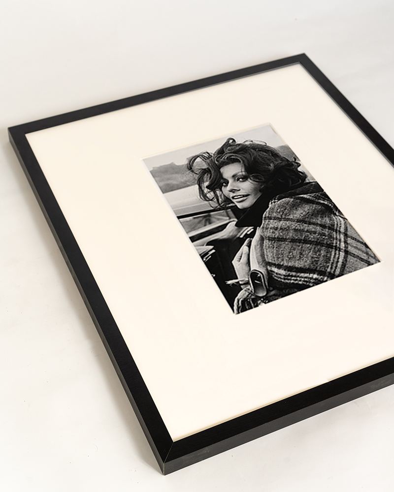 Sophia Loren